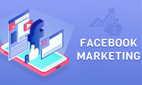 FACEBOOK ORGANIC BLUEPRINT